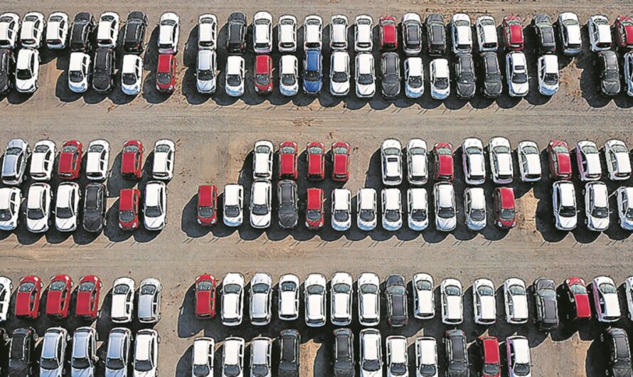 1º. Semestre encerra com pequena queda no setor, que sinaliza para crescimento até o final do ano